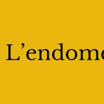 L'endométriose